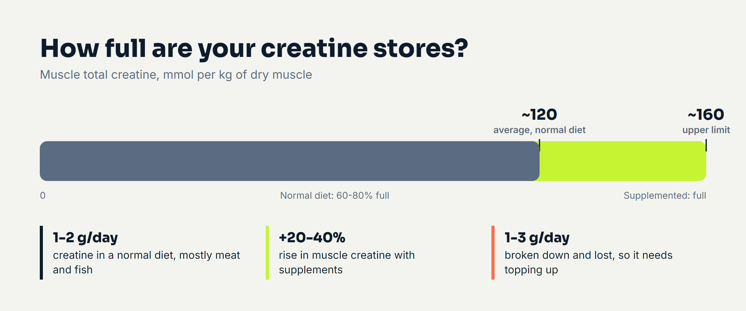 Bar chart of muscle creatine stores on a normal diet vs with creatine supplements